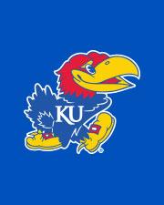 Jayhawk picture